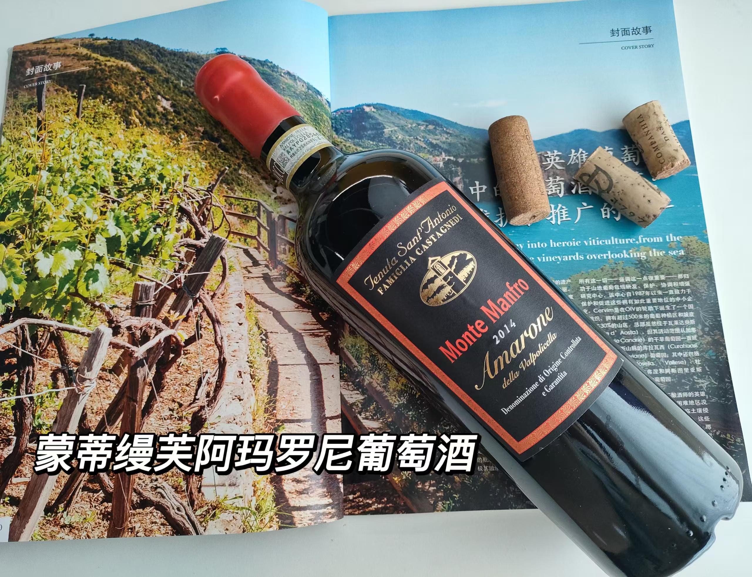 【TENUTA SANT'ANTONIO】Monte Manfro Amarone Della Valpolicella:圖片 4